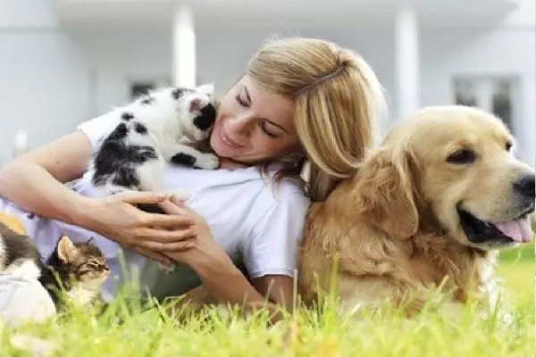 Mujer en el cesped con perro y gatos