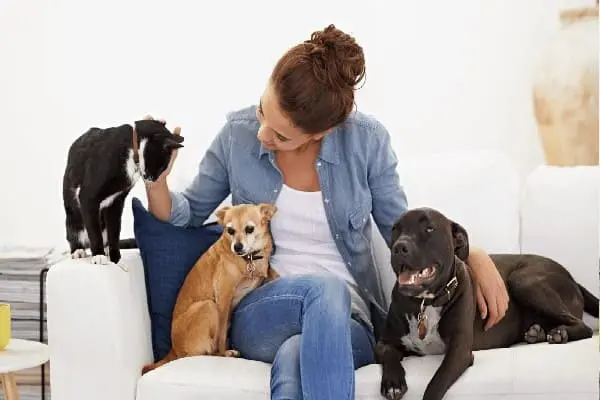 Mujer con perros y gato