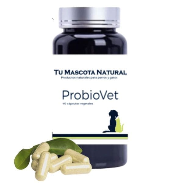 ProbioVet suplemento fisiologico con efecto terapeutico para equilibrar la flora intestinal